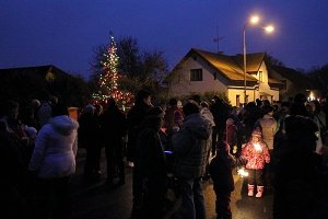 Rozsvěcení vánočního stromu